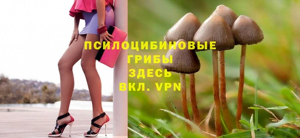apvp Тольятти