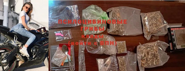 PSILOCYBIN Саяногорск