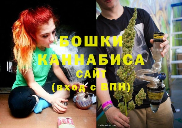 PSILOCYBIN Саяногорск