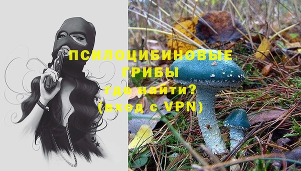 PSILOCYBIN Саяногорск