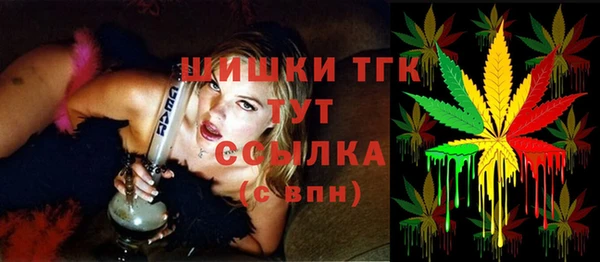 стаф Ивангород